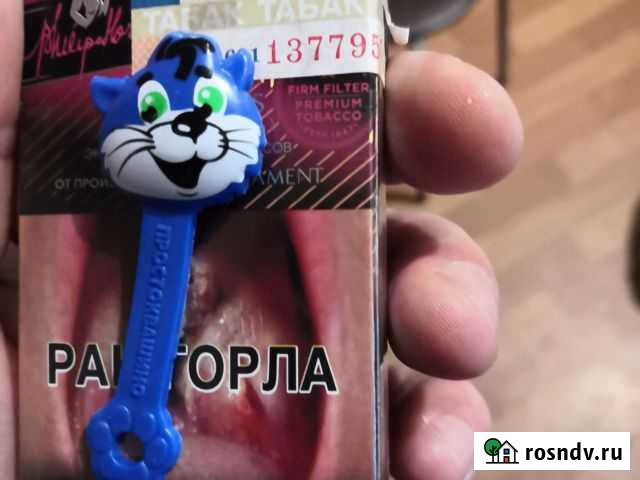 Скрепыш Саранск - изображение 1