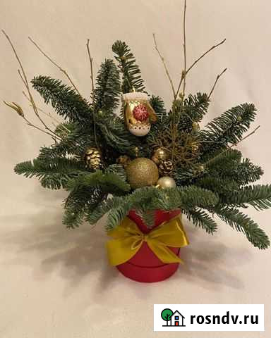 Новогодняя композиция из нобилиса Екатеринбург - изображение 1