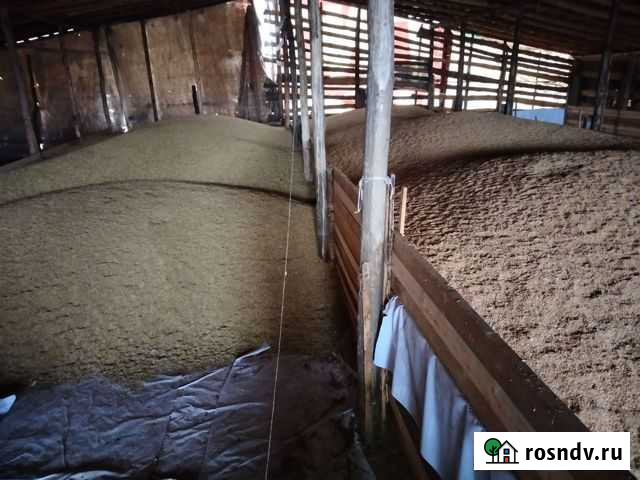 Зерно Александро-Невский - изображение 1