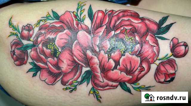 Татту Будённовск - изображение 1