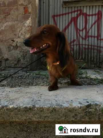 Вязка Смоленск - изображение 1