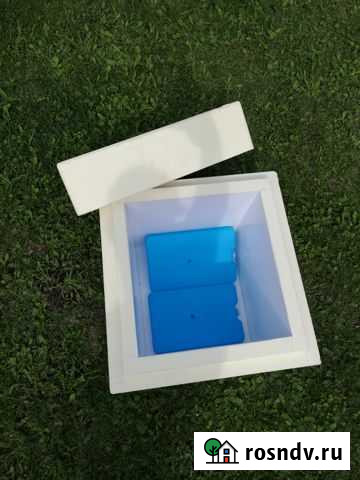 Термоконтейнер с хладоэлементами Горно-Алтайск - изображение 1