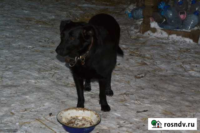 Ероша Уфа - изображение 1