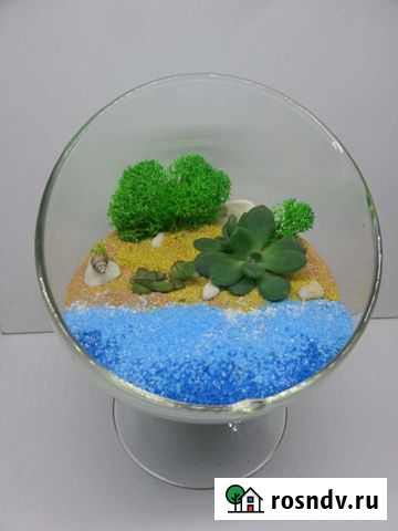 Флорариум Кострома - изображение 1