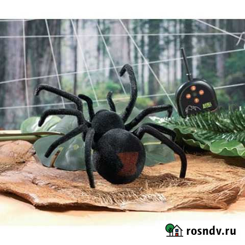 Радиоуправляемый паук Черная вдова (Black Widow) Краснодар - изображение 1