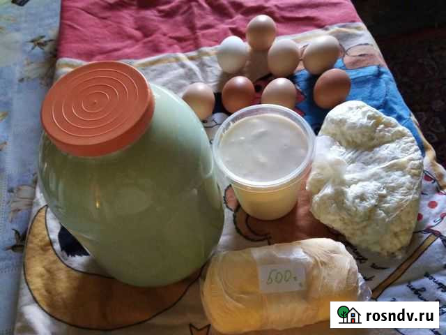 Масло, яйцо домашнее Новоалтайск - изображение 1