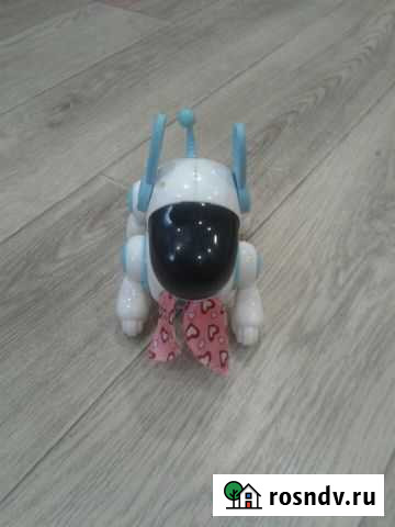 Собака робот Набережные Челны - изображение 1