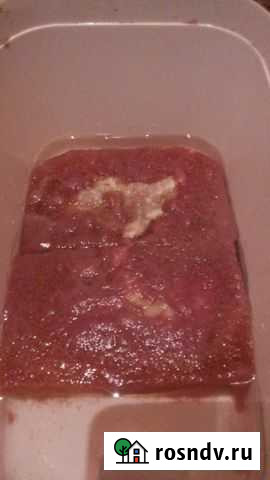 Аулофорус и хлопья Tetra Min XL Батайск - изображение 1