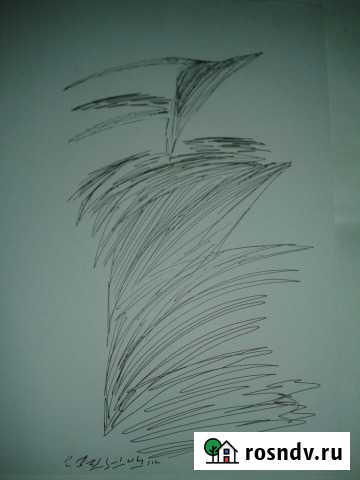 Графика на бумаге Хабаровск - изображение 1