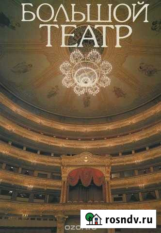Э. Бочарникова, Большой театр Воскресенск - изображение 1