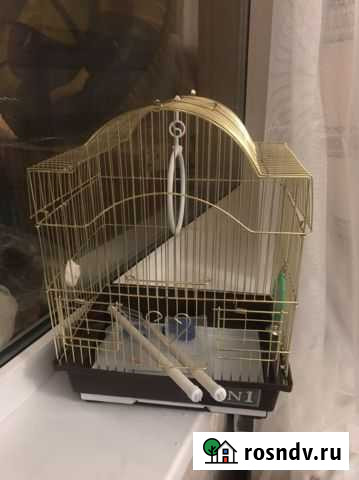 Клетка для попугая Саранск - изображение 1