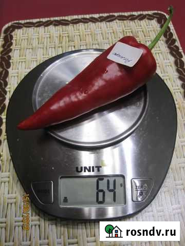 Семена Астрахань - изображение 1