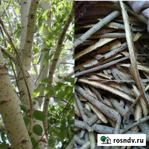 Кора осины Пермь - изображение 1