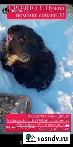 Шансов нет, но я верю в добро Нижний Новгород - изображение 1