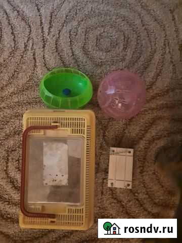 Аксессуары для грызунов в клетку, бесплатно отдам Дзержинск - изображение 1