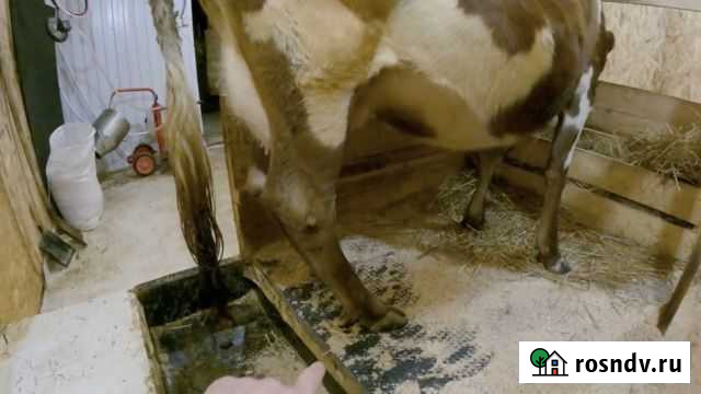 Навоз в мешках Мысхако - изображение 1