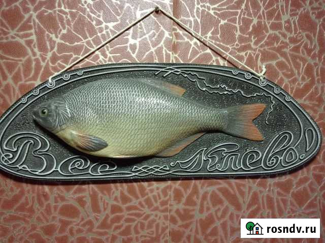 Рыба-копилка Сызрань - изображение 1