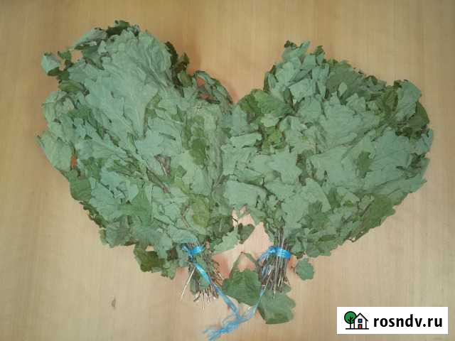 Веники дубовые Екатеринбург - изображение 1