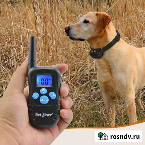 Электронный ошейник для собак Владивосток - изображение 1