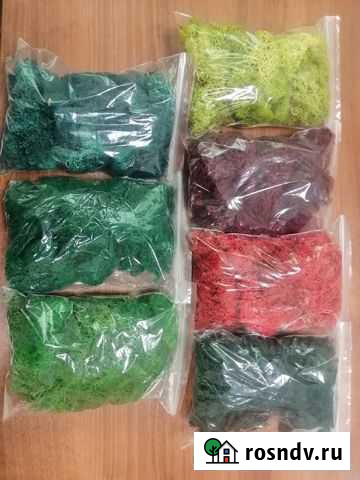 Стабилизированный мох Панковка - изображение 1