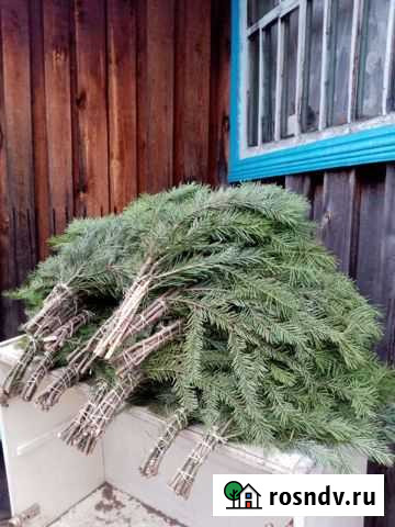 Пихтовые веники Лобва - изображение 1