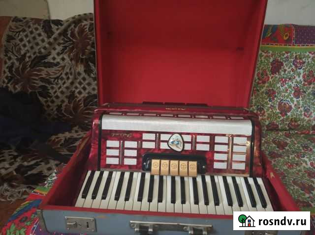 Аккордеон Ялта - изображение 1