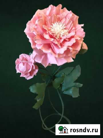 Ростовые цветы Тюмень - изображение 1