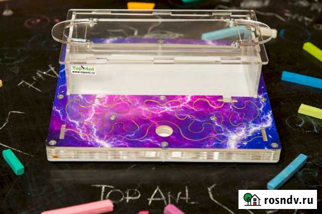 Формикарий Муравьиная ферма Прокопьевск - изображение 1