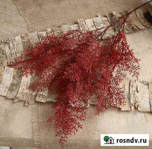 Декоративные ветки Владикавказ