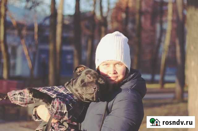 Гостиница для собак Пермь - изображение 1