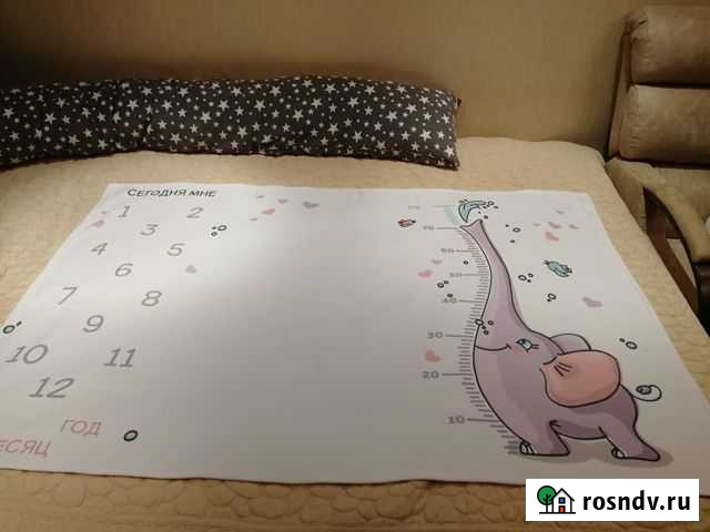 Фотоплед для фотосессии «Слоник» Электросталь - изображение 1