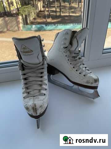 Коньки Рязань - изображение 1