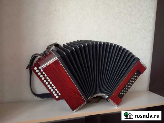 Гармонь Ремонт и настройка Мытищи - изображение 1