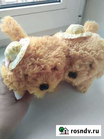 Игрушки собачки Петрозаводск - изображение 1