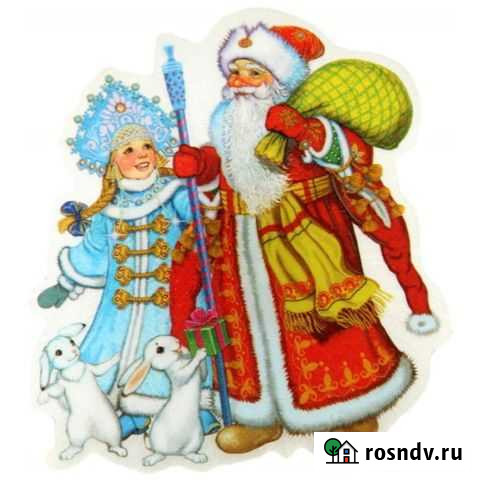 Поздравление Деда Мороза и Снегурочки Соликамск - изображение 1