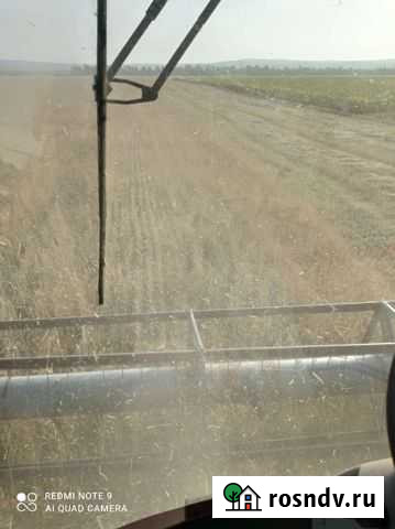 Семена ячменя сорт Памяти Чепелева. 1 репродукция Давлеканово - изображение 1