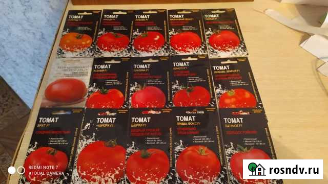 Семена томатов Чаплыгин - изображение 1