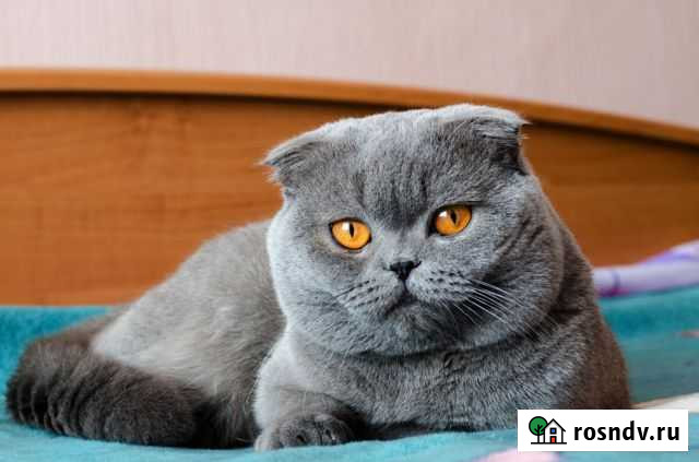 Ищем кавалера Усть-Илимск - изображение 1