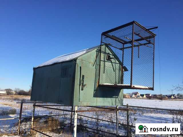 Голубятник Саранск - изображение 1