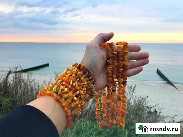 Янтарные бусы, кулоны Калининград - изображение 1