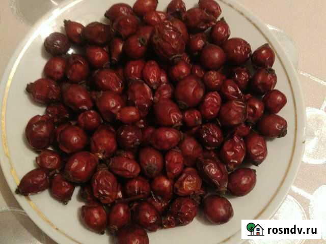 Шиповник сушонный,баярышник,лимонник Феодосия - изображение 1