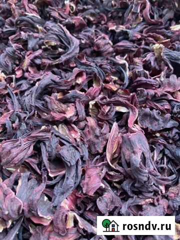 Каркаде Симоненко - изображение 1