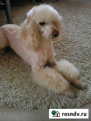 Вязка Череповец - изображение 1