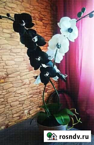 Орхидея из фоамирана ручной работы Волжский - изображение 1