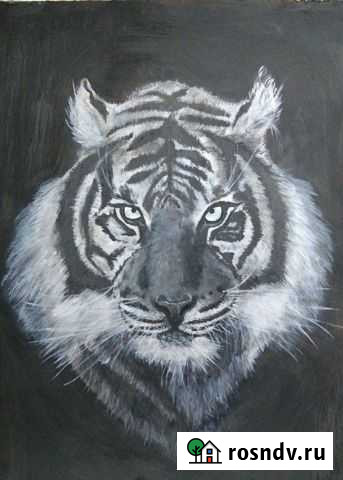 Тигр картина, акрил Людиново - изображение 1