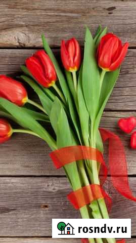 Цветы тюльпаны Валуйки - изображение 1