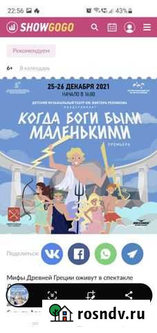 Билеты в театр Резникова Санкт-Петербург - изображение 1