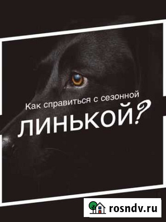 Услуги грумера Москва - изображение 1