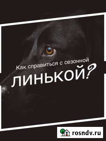 Услуги грумера Москва - изображение 1