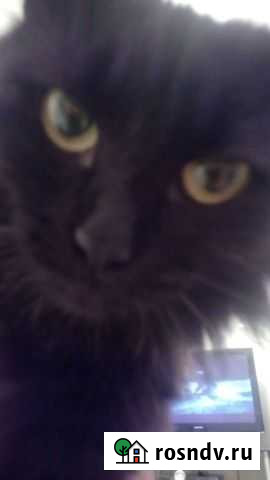 Помогите, умоляю Коломна - изображение 1